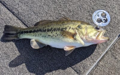 Fishing Guide Table Rock